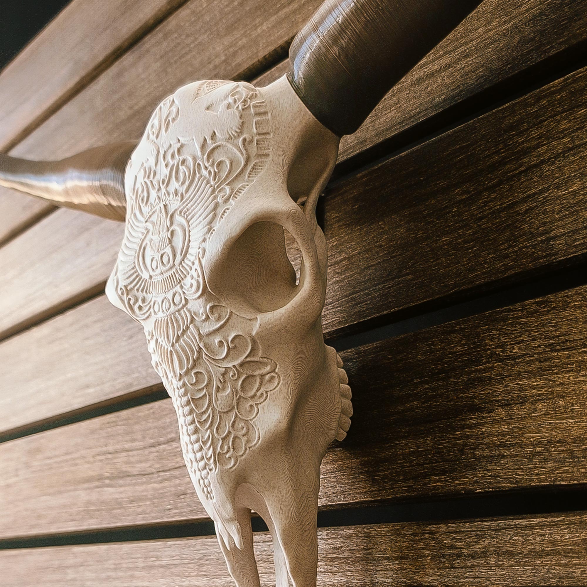 Decorative Steer Horns and Skull | 23"