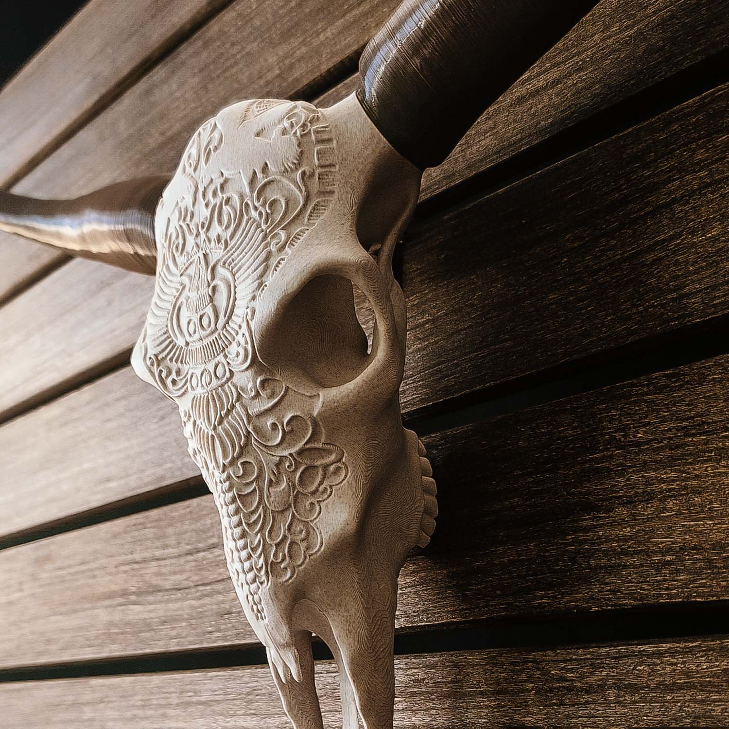 Decorative Steer Horns and Skull