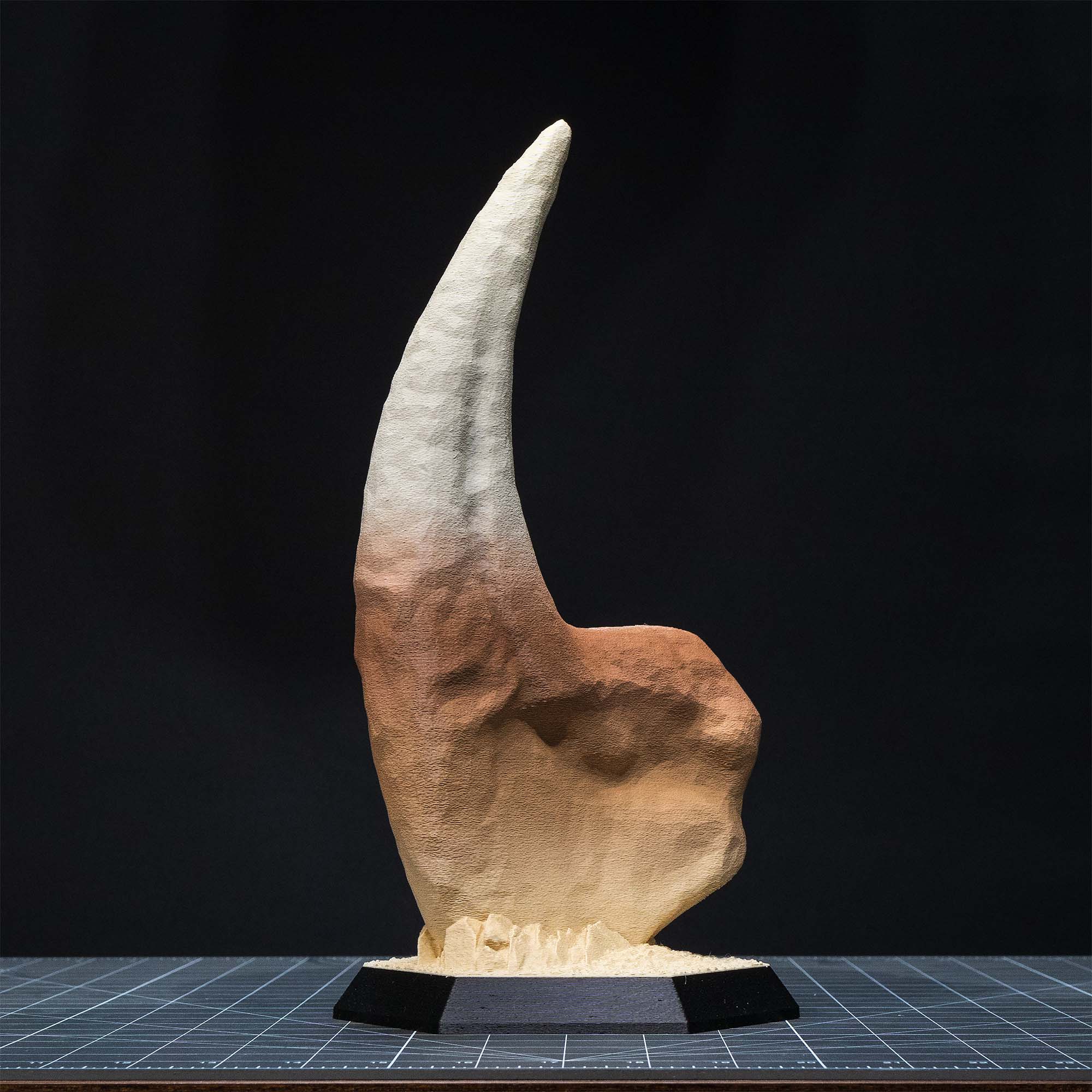 Dinosaur Fossil Replicas of Megalodon, Velociraptor and Allosaurus