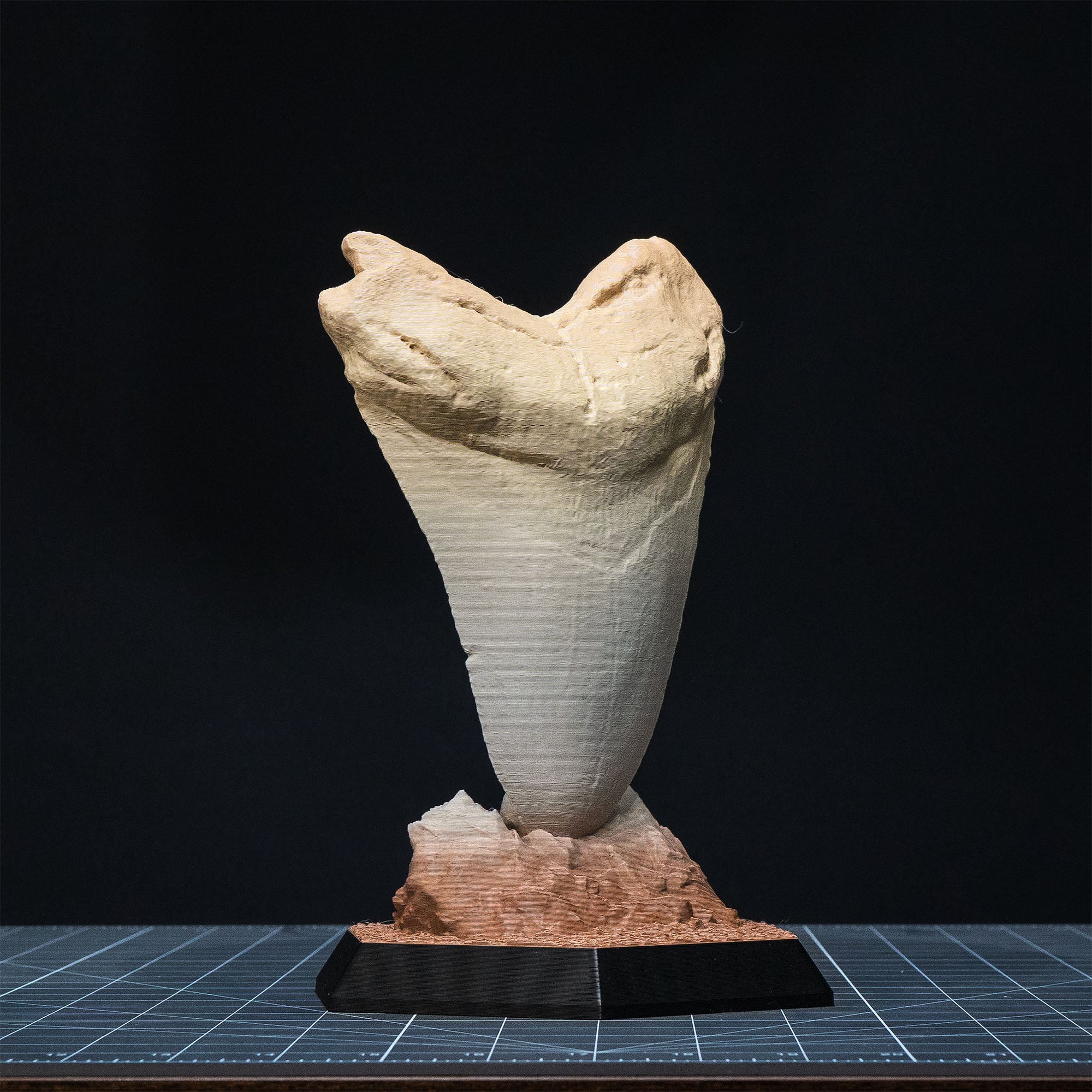 Dinosaur Fossil Replicas of Megalodon, Velociraptor and Allosaurus