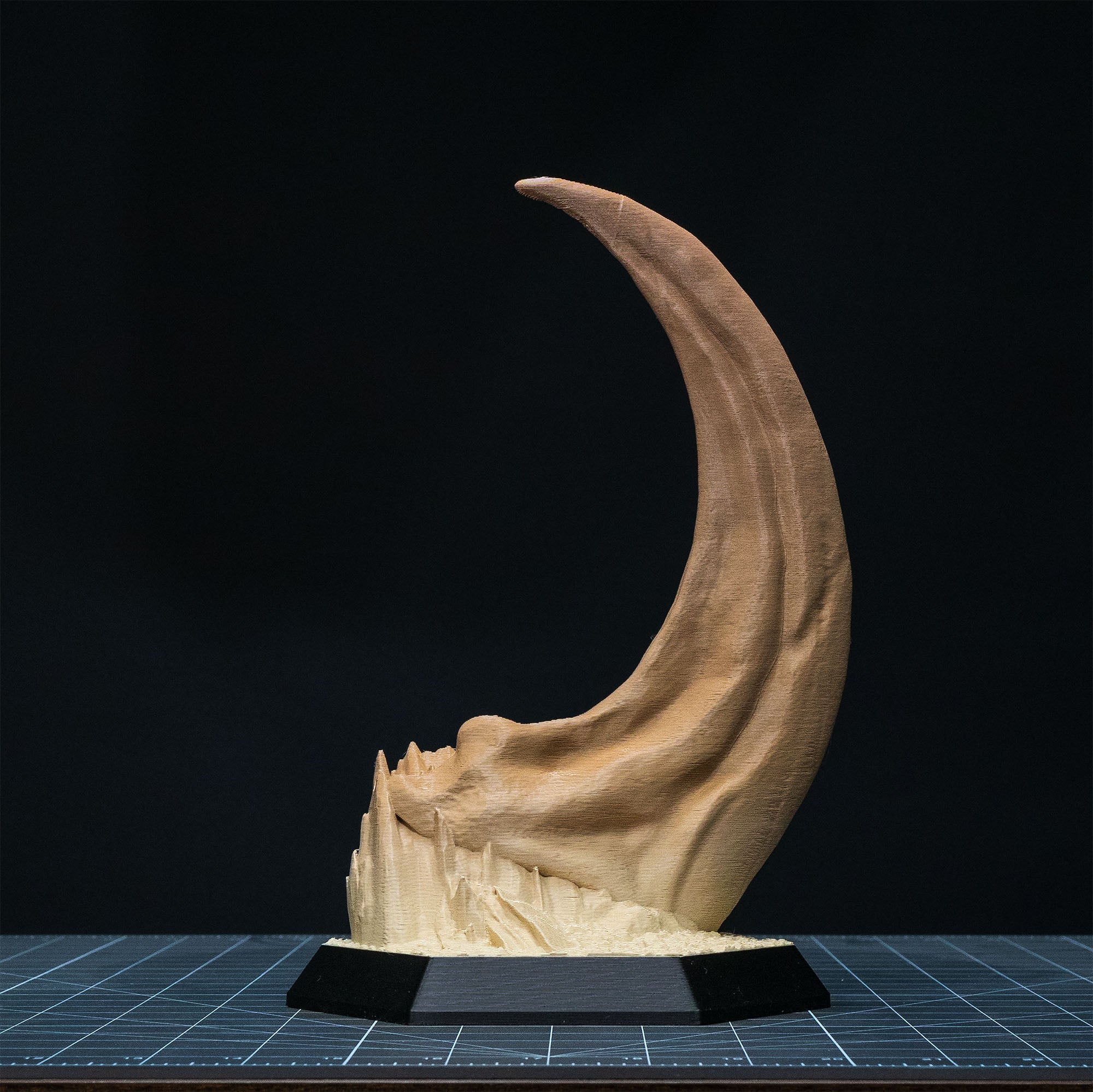 Dinosaur Fossil Replicas of Megalodon, Velociraptor and Allosaurus