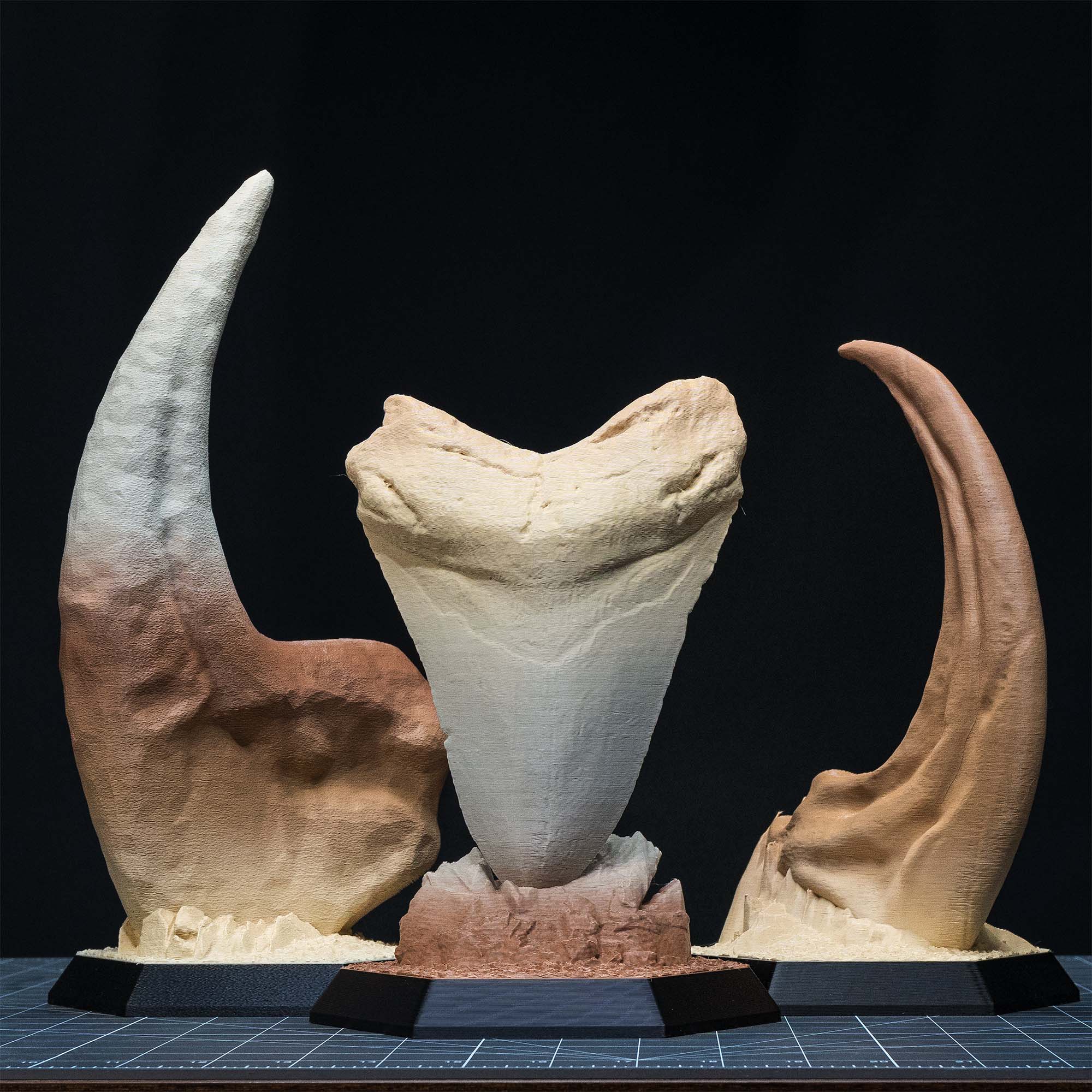 Dinosaur Fossil Replicas of Megalodon, Velociraptor and Allosaurus
