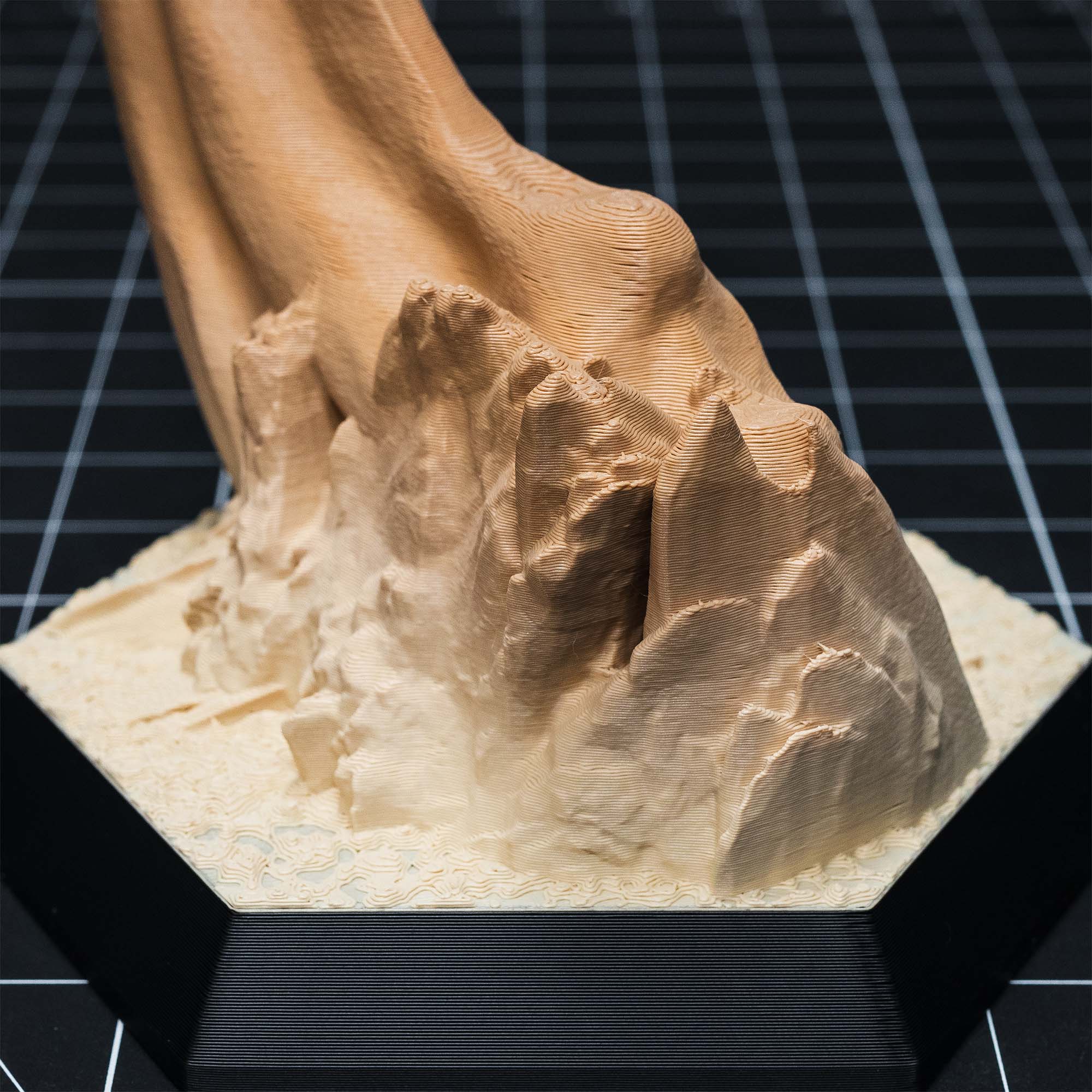 Dinosaur Fossil Replicas of Megalodon, Velociraptor and Allosaurus
