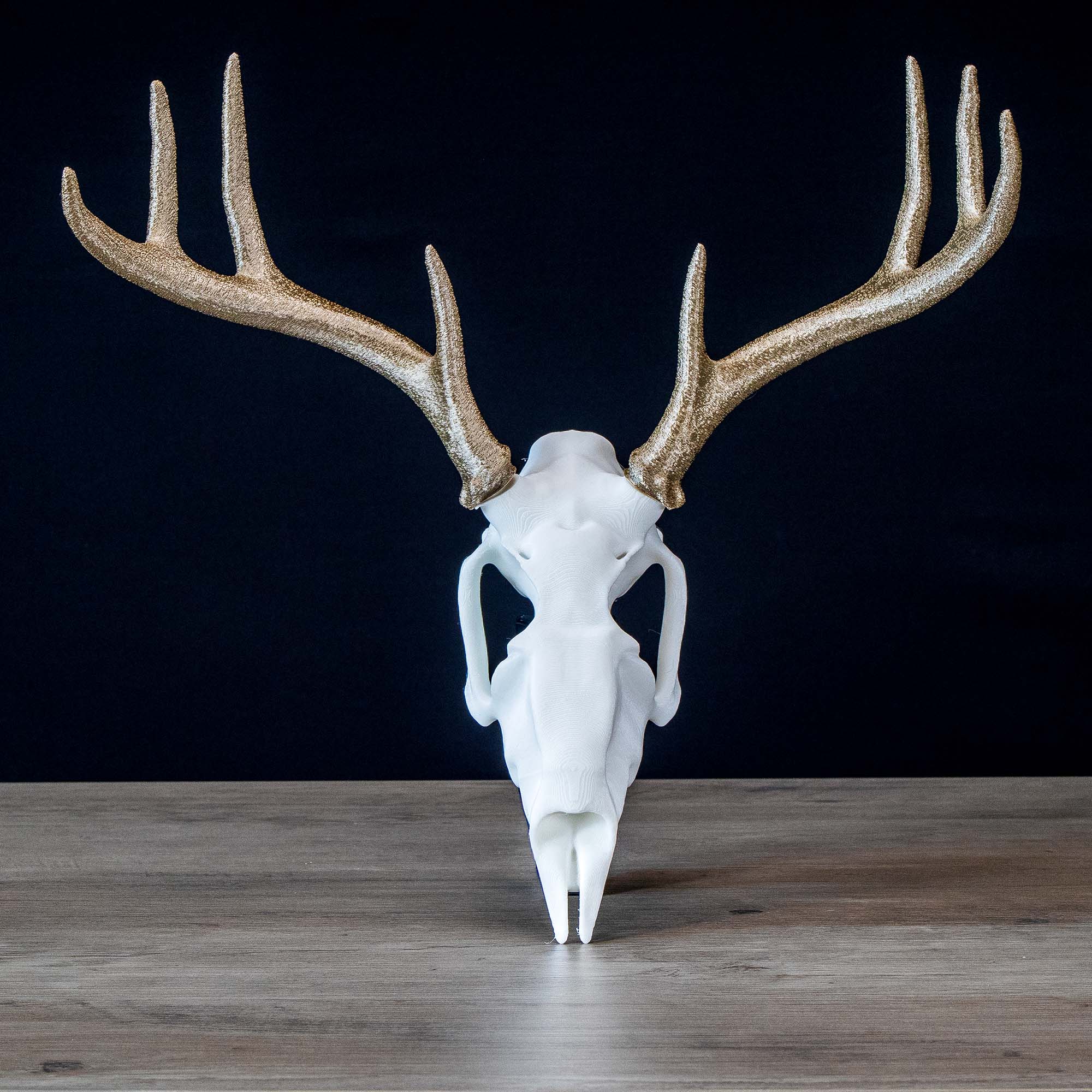 Decorative Deer Skull and Antlers | Wall Mount | Faux