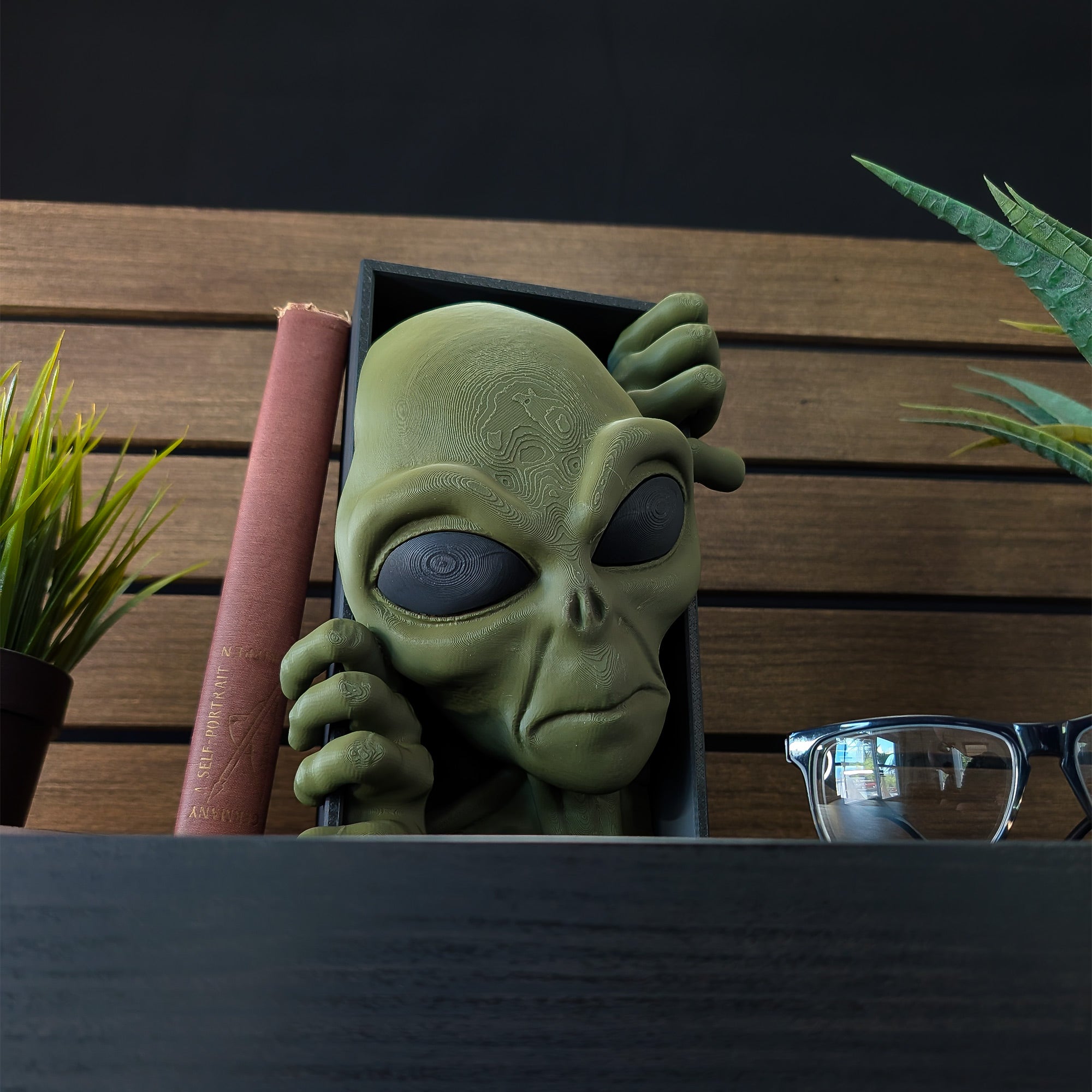 Alien Book Box | 8.5"