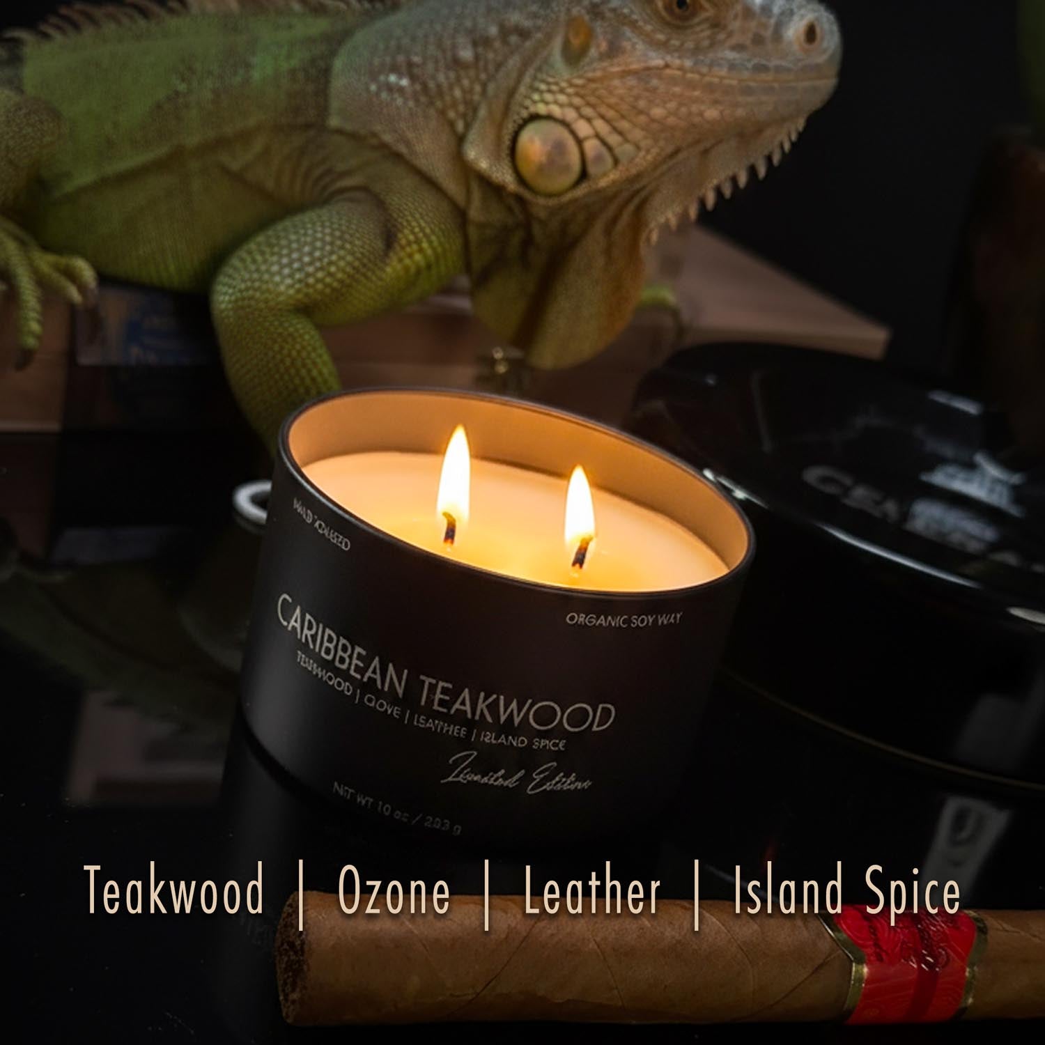 10oz Dual-Wick Candles for Men | Masculine | Hard Shell Gift Box