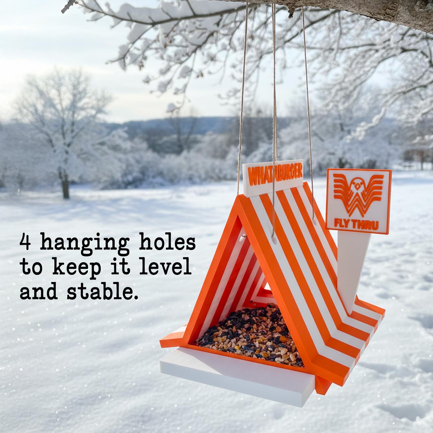 Bird Feeder | Whatabirder