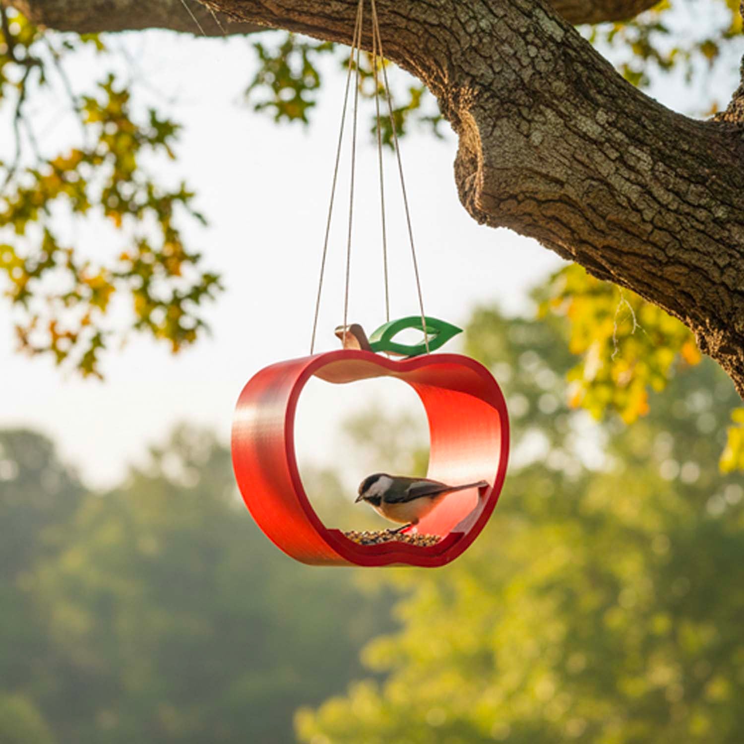 Bird Feeders | Fruit Collection