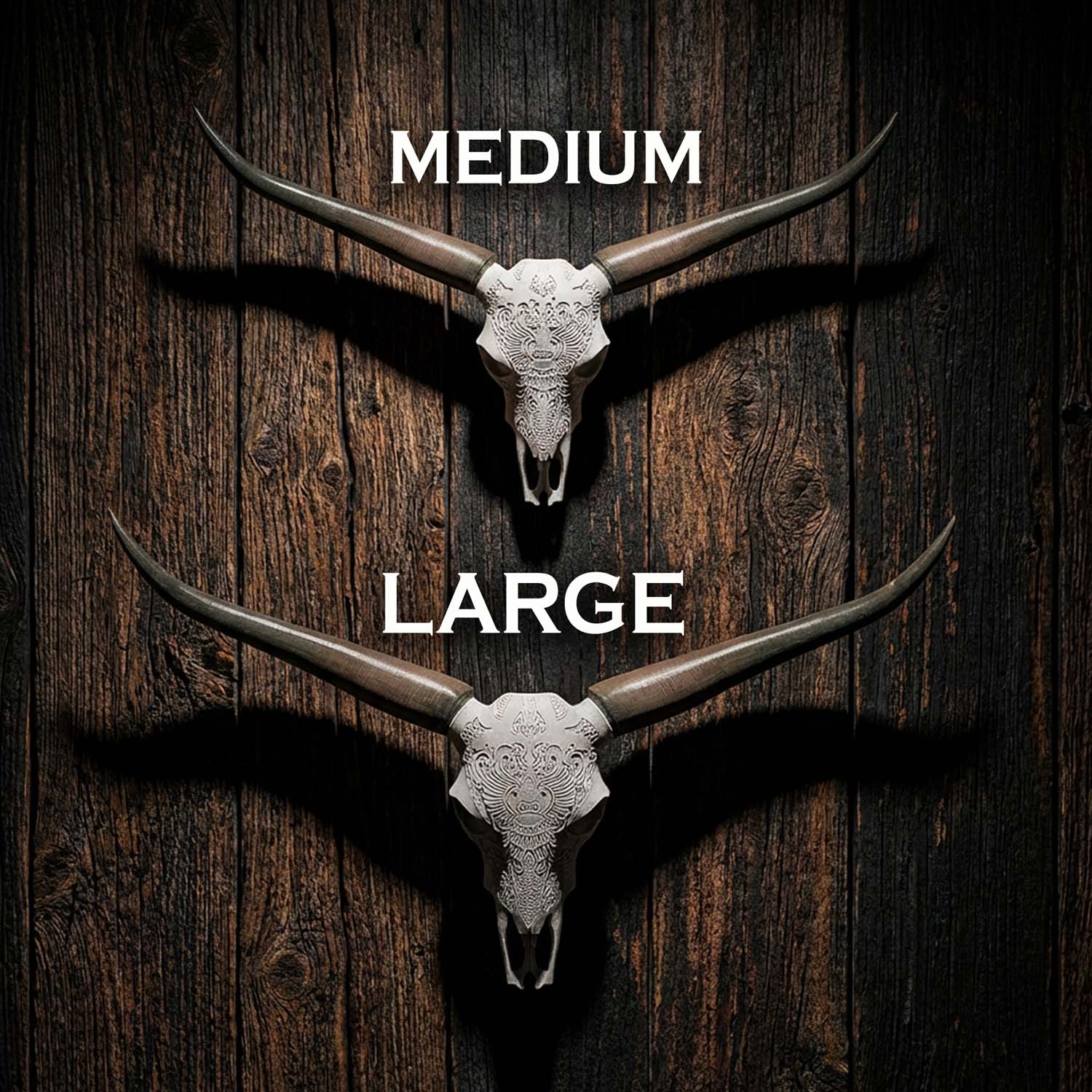 Decorative Steer Horns and Skull