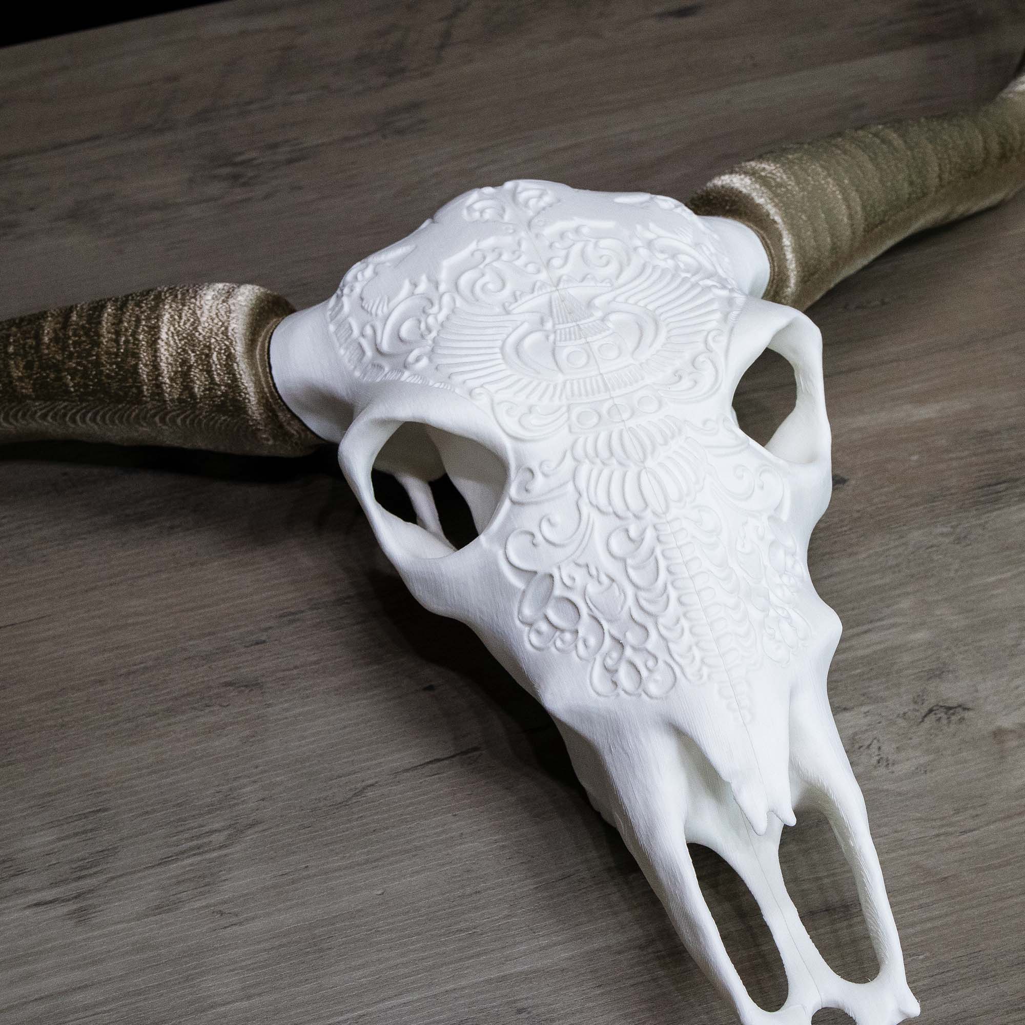 Decorative Steer Horns and Skull | 4 Color Options