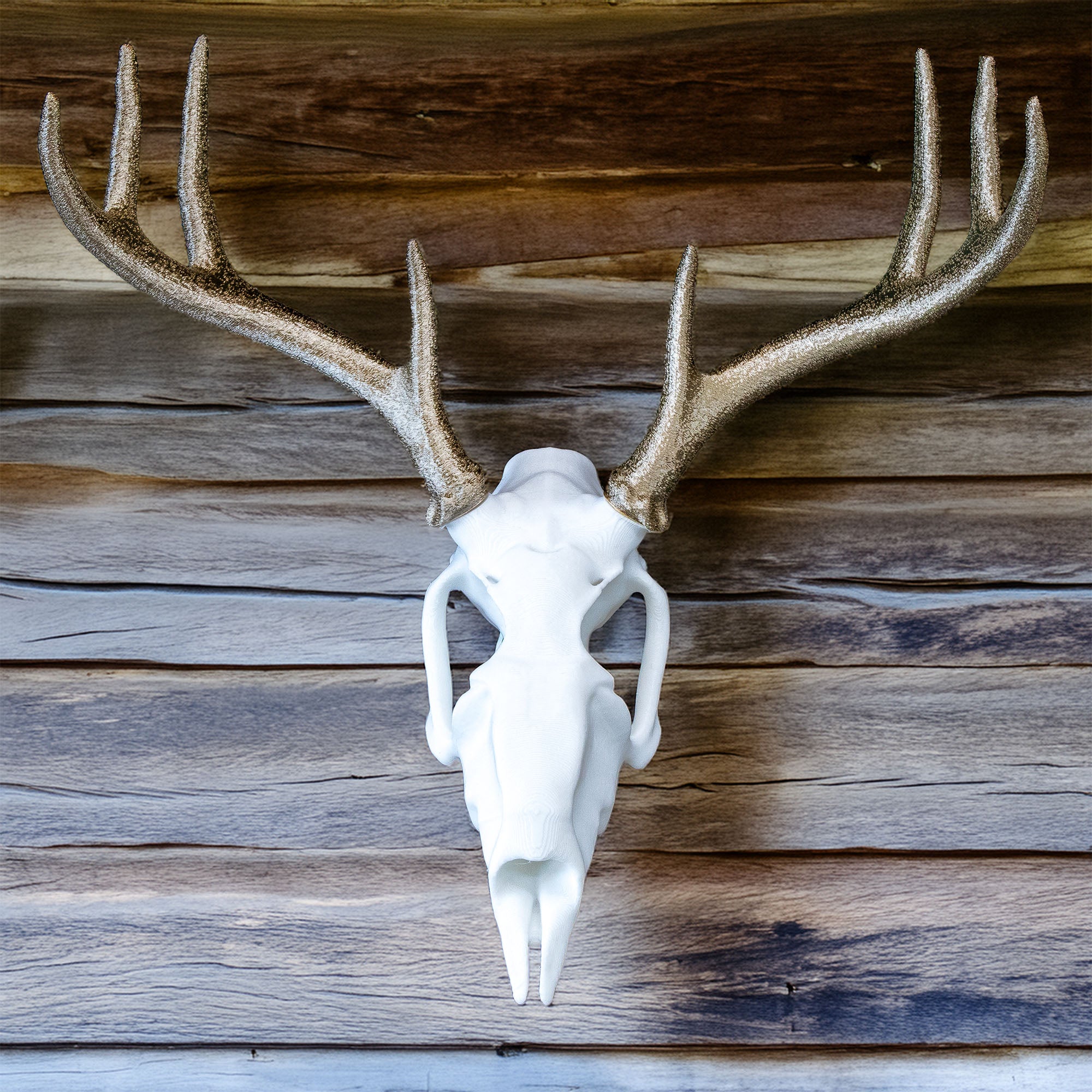 Decorative Deer Skull and Antlers | Wall Mount