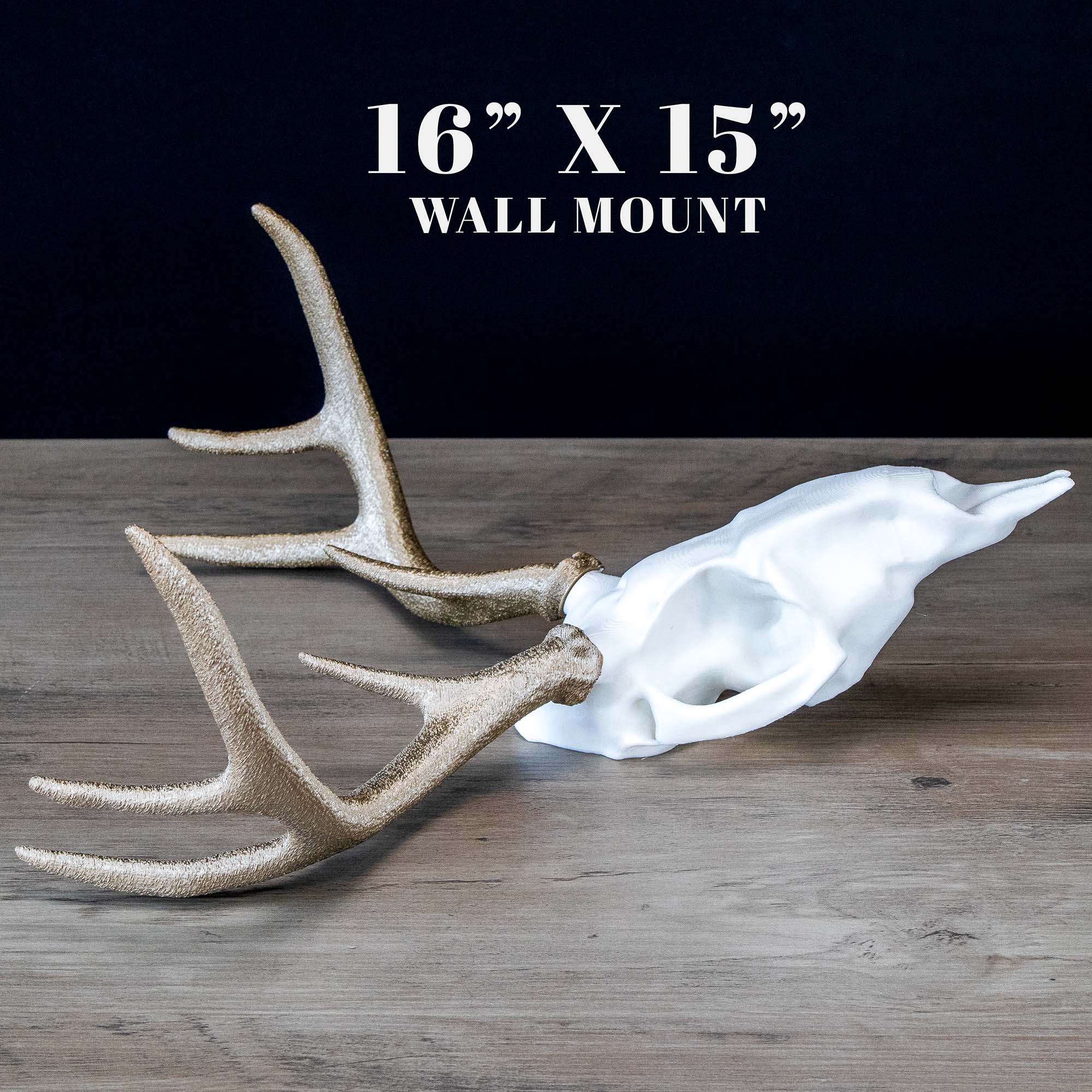 Decorative Deer Skull and Antlers | Wall Mount