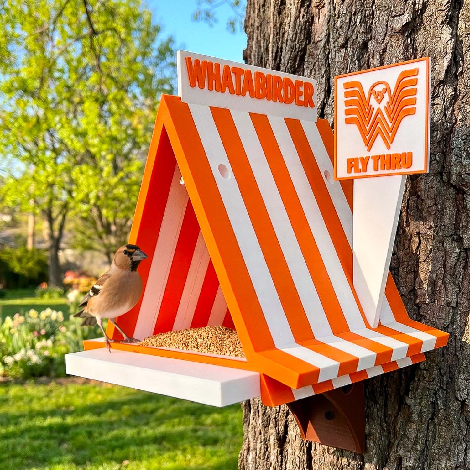 Bird Feeder | Whatabirder