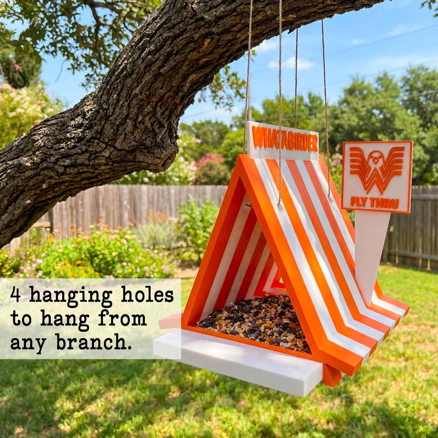 Bird Feeder | Whatabirder