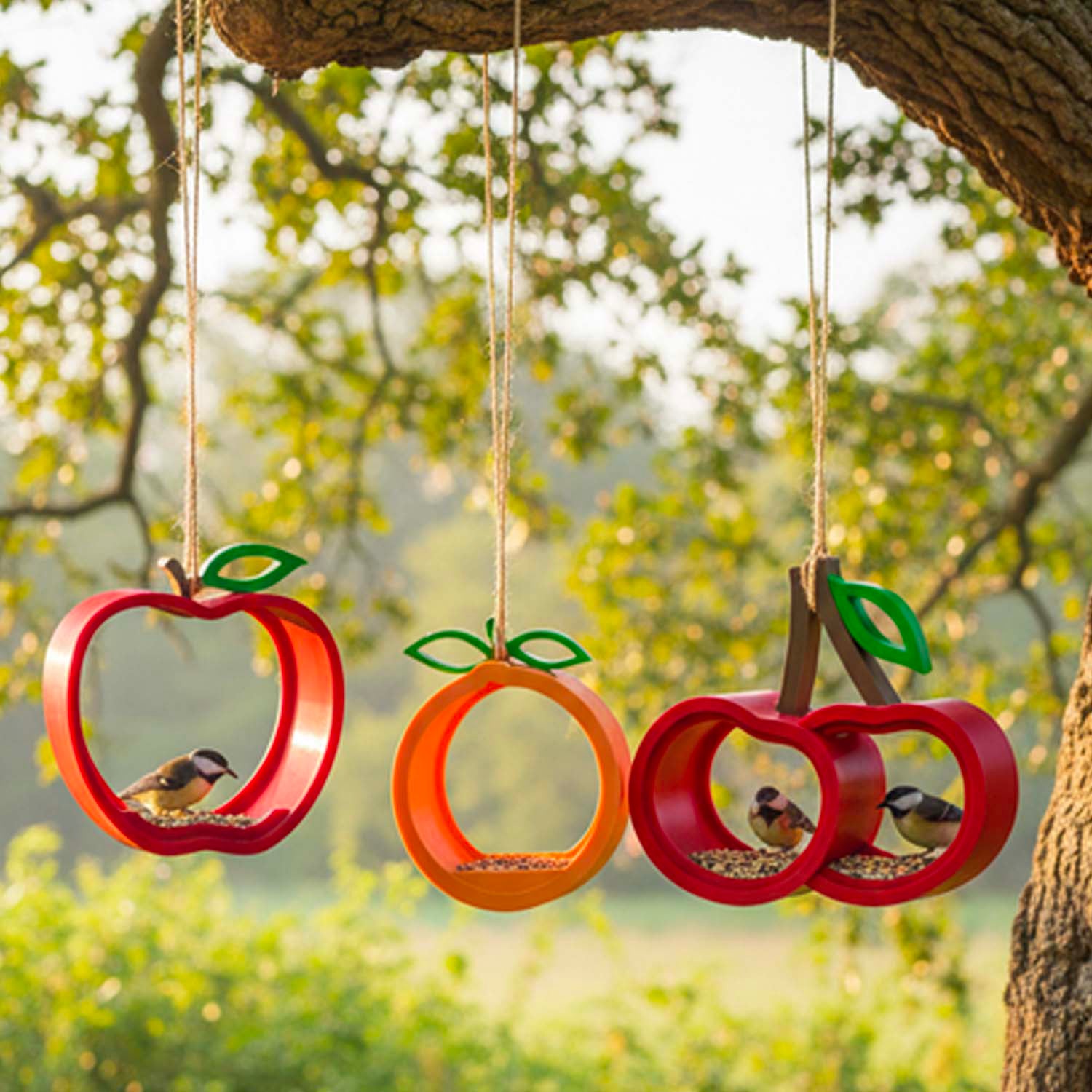 Bird Feeders | Fruit Collection